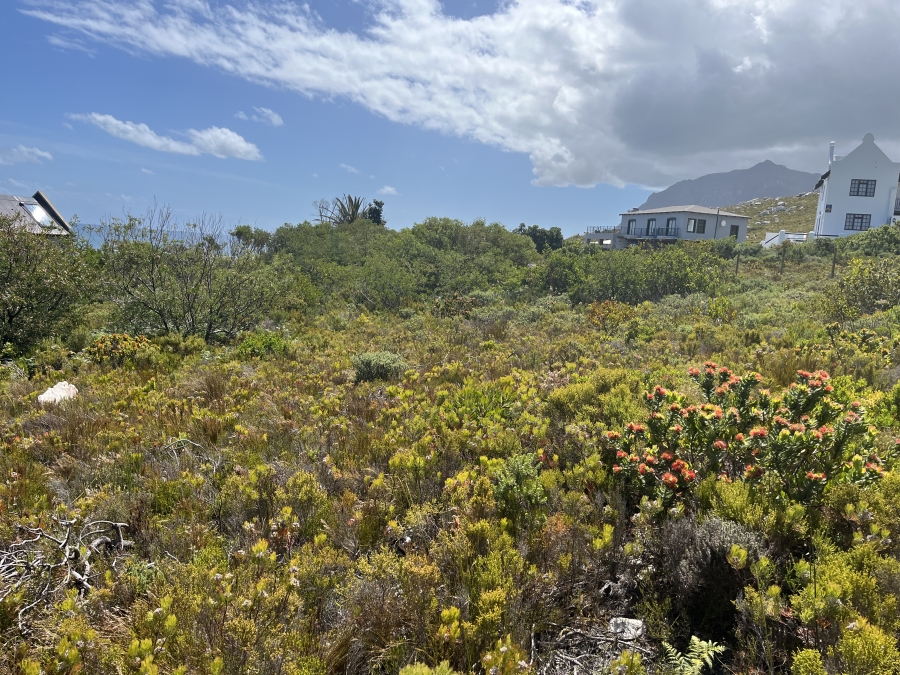0 Bedroom Property for Sale in Bettys Bay Western Cape